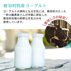 南信州根羽村産なめらか加糖ヨーグルト たっぷり20個入り  毎日の朝ごはんやおやつにも