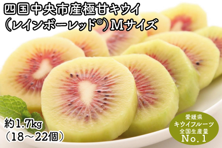 【8月1日受付開始】レインボーレッドキウイ（四国中央市産レインボーレッド） M サイズ 約1.7kg（18個～22個）
