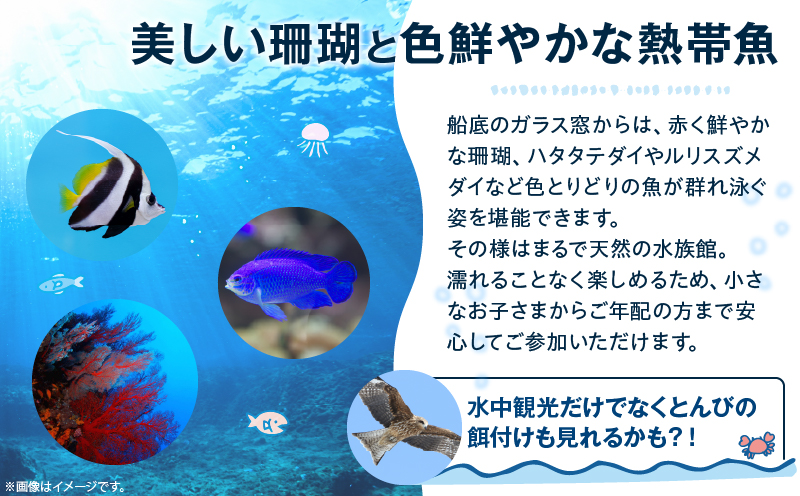 マリンビューワーにちなん 乗船券 (小人券) チケット 海中散歩 海中ツアー 半潜水式観光船 乗船体験 自然体験 家族旅行 絶景クルージング デイクルーズ 非日常 満喫 感動 インスタ映え 思い出 レ