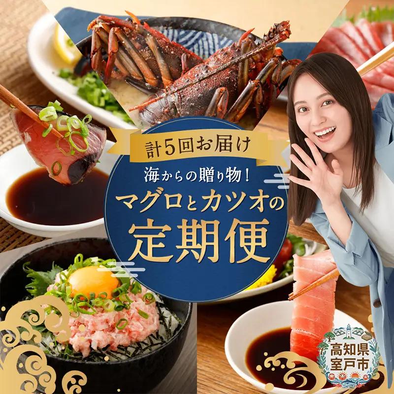【5回お届け定期便】タカシン水産 人気 定期便
