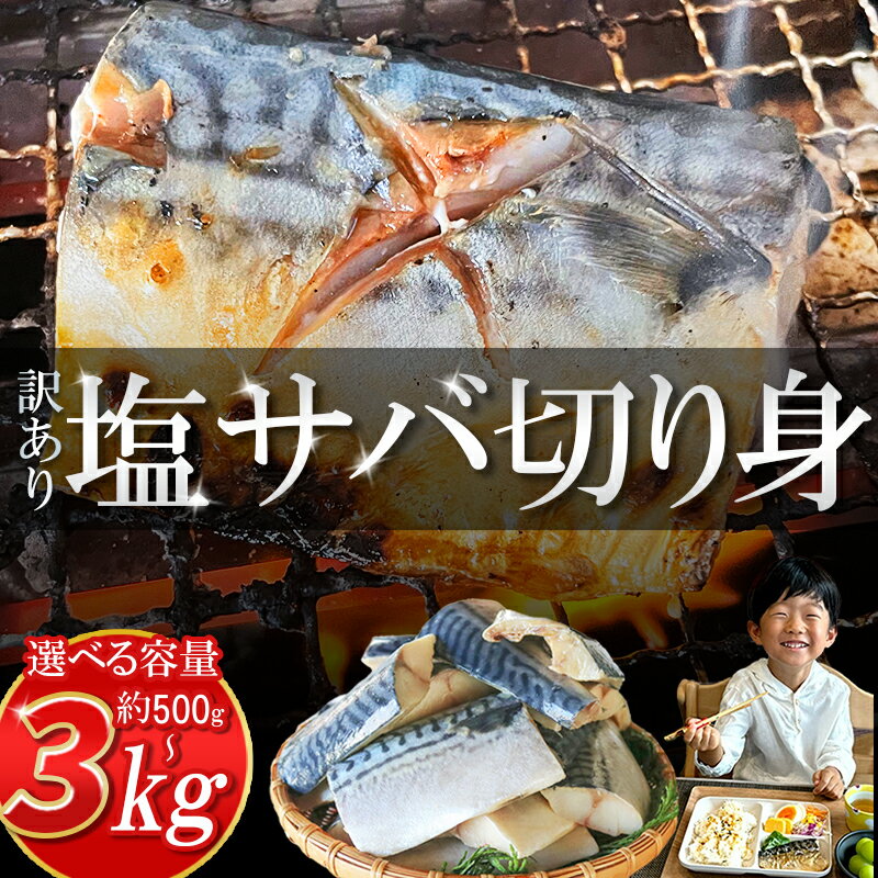 【ふるさと納税】 塩 サバ 切り身 【内容量が選べる】 約 500g 約 3kg ( ふるさと 納税 訳あり ふるさと納税 さば ふるさと納税 鯖 ふるさと納税 塩サバ ふるさと納税さば ふるさと納税 冷凍サバ 規格外 不揃い 魚 切り身 おかず 惣菜 大容量 ) 愛知県 南知多町