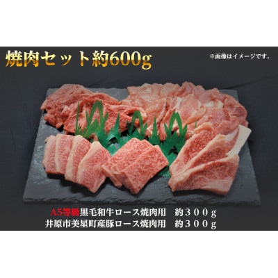 焼肉セット600g(2～3人用)A5等級 黒毛和牛ロース約300gと豚ロース約300g 岡山県産【配送不可地域：離島】【1184123】