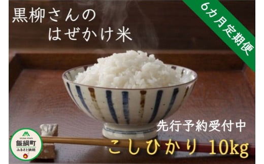 [1413]【令和6年度収穫分】こしひかり 10kg×6回【6カ月定期便】 ※沖縄および離島への配送不可　※2024年11月上旬頃から順次発送予定　黒柳さんのはぜかけ米　長野県飯綱町