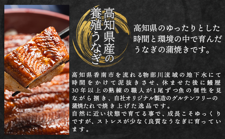 【香南市】【3回定期便】うなぎ 蒲焼き 約200g×2尾 2尾【3回定期便】 約200g