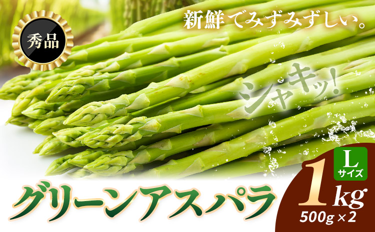 アスパラガス アスパラ グリーンアスパラ L サイズ 1kg (500g×2) 門別町農業協同組合(生活資材課) 《4月中旬-5月末頃出荷予定》北海道 日高町 送料無料 春野菜 春 朝採り 朝採れ お