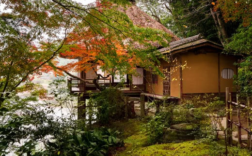 ”プライベートガイドと巡る” 臥龍山荘 と シネマ散策 「10名様」 旅行 ガイド付き ガイド 散策 トラベル 観光 チケット （805）