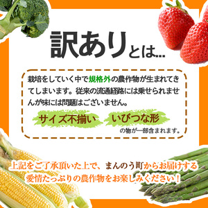 ＜期間限定！2024年3月下旬以降順次発送予定＞＜訳あり＞香川県産 さぬきひめいちご(約500g)   まんのう町 特産品 香川県 生もの 国産 果物 フルーツ 苺 いちご イチゴ 新鮮 冷蔵便【ma