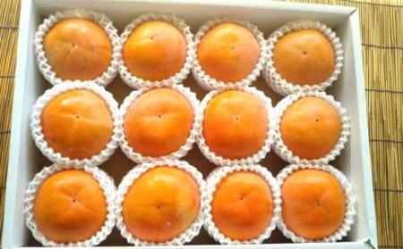 ［厳選・産直］和歌山産の富有柿約4kg（化粧箱入り）（2L～4Lサイズ）★2024年11月頃より順次発送【TM60】