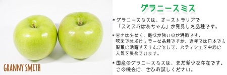 りんご グラニースミス 家庭用 5kg 沖縄県への配送不可 2023年11月中旬頃から2024年2月下旬頃まで順次発送予定 ふるさと振興公社 長野県 飯綱町 [0746]