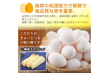 i303 鹿児島県産 白たまご 約10kg  約165個 Mサイズ 【マルイ食品】