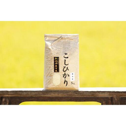 【定期便】【令和7年産】南魚沼産コシヒカリ（無洗米5kg×全3回）