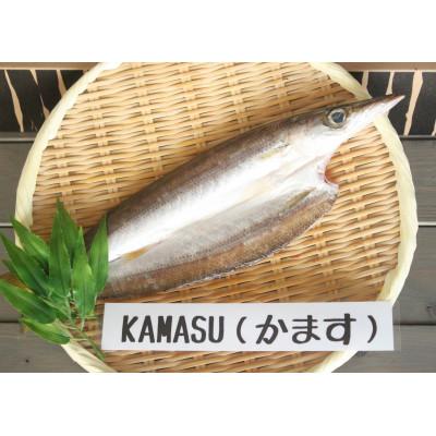 ふるさと納税 高野町 紀州備長炭干しかます5枚