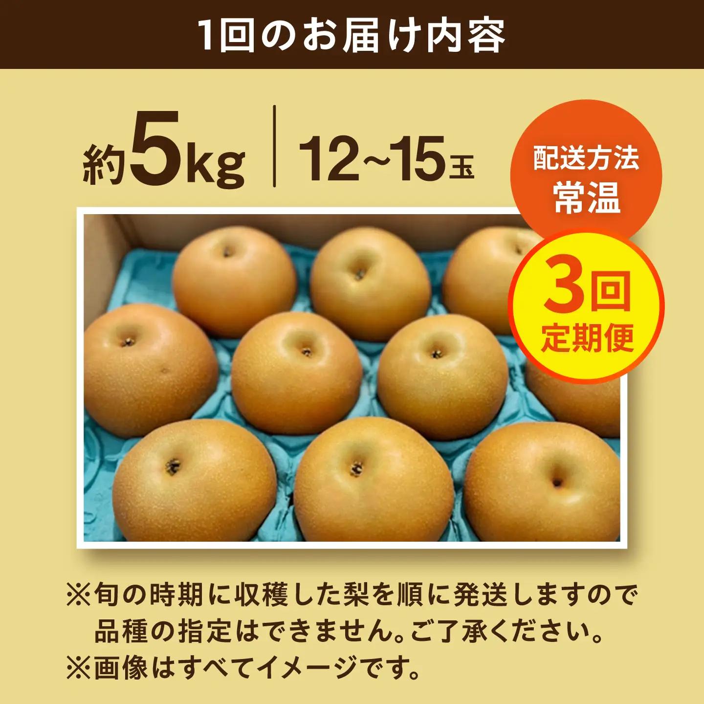 【3回定期便】 朝採り旬の梨 食べ比べ 約5kg/1回 梨定期便 フルーツ定期便 梨 ナシ なし フルーツ 果物 果物定期便 / 大村市 / 産直松吉 [ACZC010]