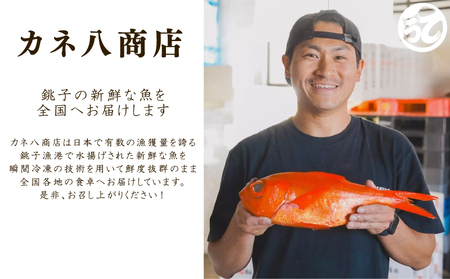 訳あり キハダマグロ 約1kg 【 まぐろ 】 カネ八商店