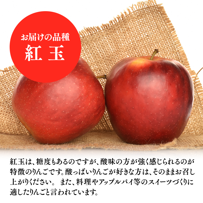 10月発送　訳あり 家庭用 甚八りんご紅玉３kg【青森県 平川市 マルジンサンアップル】