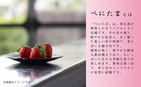 【先行予約】いちご べにたま 楓 280g×2パック | いちご＼ 期間限定 特別寄附額 ／