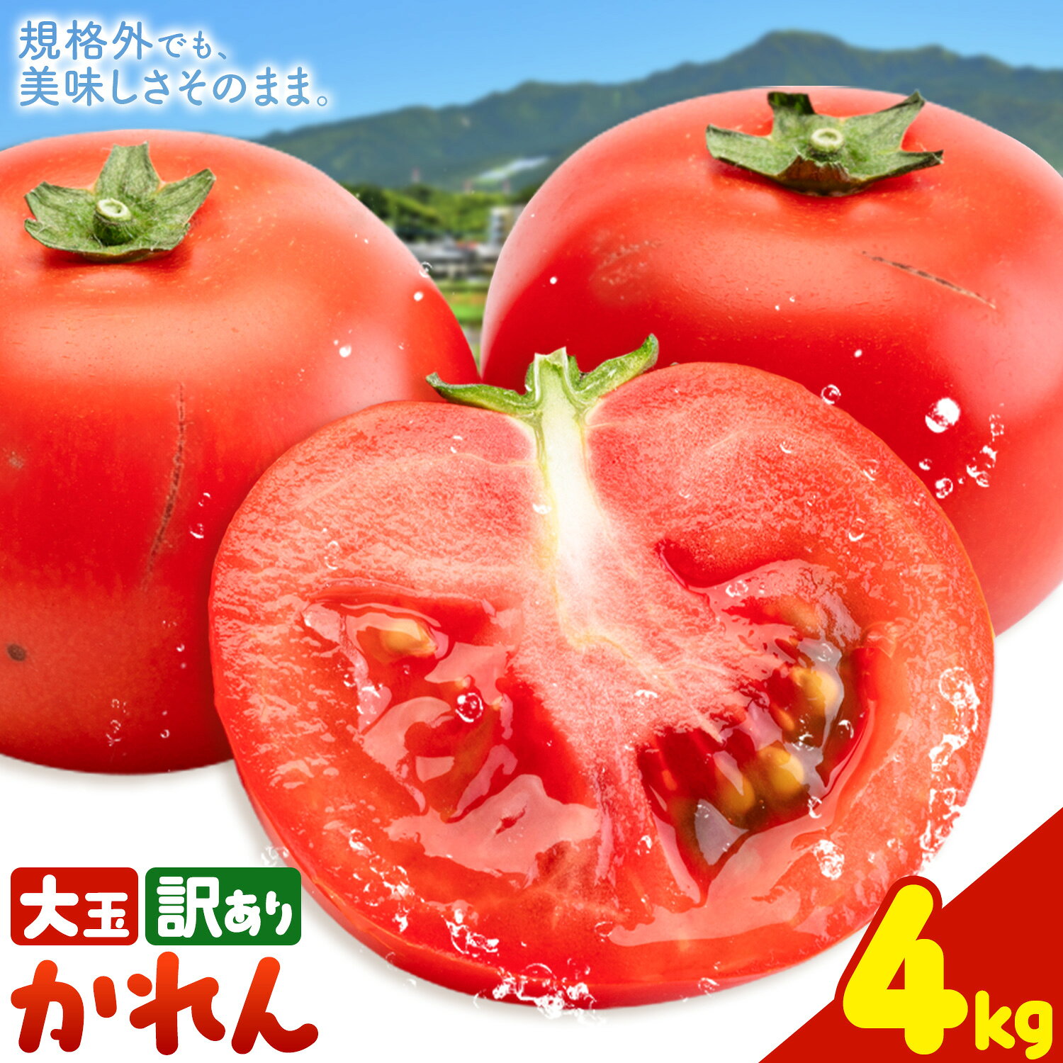 【ふるさと納税】【大津アグリラボ】大玉トマト かれん 訳あり 約4kg 株式会社中九州クボタ《10月上旬-6月下旬頃出荷》熊本県 大津町 トマト 大玉 野菜 訳アリ ご家庭用 傷あり サイズ 不揃い 規格外