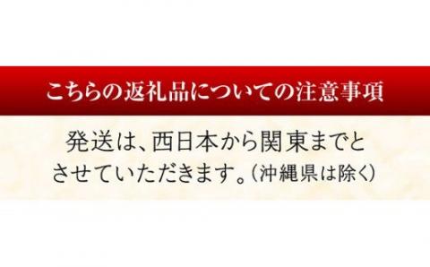 【担当者厳選！】伊勢海老2kg（2～8尾） 【 伊勢えび 魚介類 いせえび 海産物 宮崎県産 国産 】[B04403]