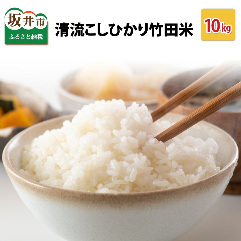 【ふるさと納税】【先行予約】【令和7年産・新米】 清流こしひかり 竹田米 10kg 【精米方法をお選びいただけます：白米 / 玄米】 【2025年9月下旬以降順次発送予定】 【米 お米 こめ 精米 コシヒカリ ブランド米 ふるさと納税米 産地直送】
