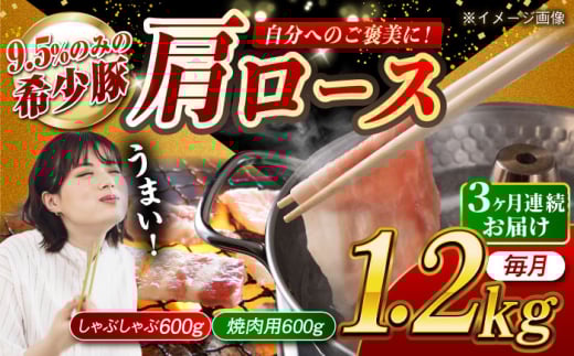 【月1回約1.2kg×3回定期便】大西海SPF豚 肩ロース（焼肉＆しゃぶしゃぶ用）計約3.6kg 長崎県/長崎県農協直販 [42ZZAA065]