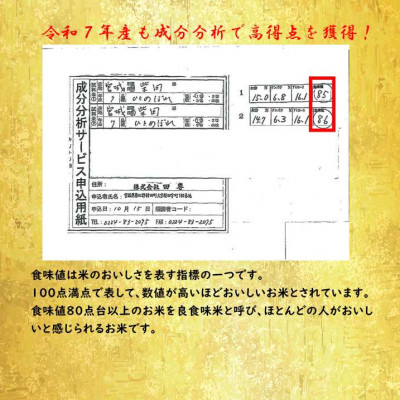 【新米】令和7年産 ひとめぼれ 精米10kg(5kg×2)  宮城県村田町産