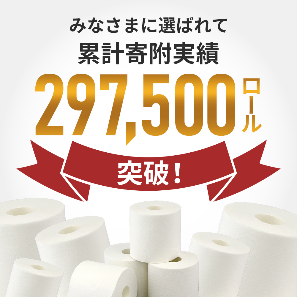 定期便 トイレットペーパー ダブル 3倍 長持ち 4ロール入×12パック スコッティ フラワーパック 無香料《6ヶ月ごと計2回》 トイレット ペーパー 節約 日用品 日用雑貨 備蓄 備蓄用 防災 防災