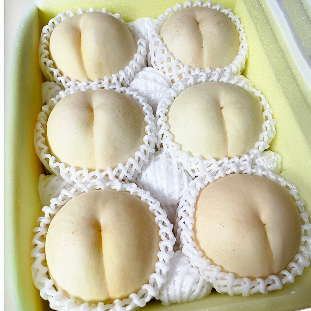【ふるさと納税】【先行予約】希少品種の岡山の白桃 CX〈選べる〉 約1.5kg箱 or 約2kg箱 桃 モモ ピーチ 果物 フルーツ おやつ デザート お取り寄せ 岡山県 美咲町 冷蔵 送料無料【2025年10月発送予定】