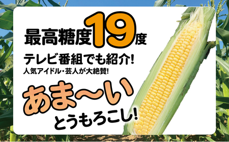 とうもろこし カリッとアフロコーン 7袋 とうもろこし