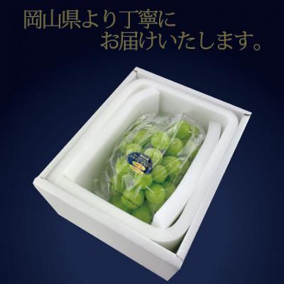 ふるさと納税 浅口市 【発送月固定定期便】[HS]2026年先行予約9月/10月2回発送最高級品晴王1房約700g全2回 |  | 03