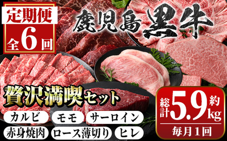 【G01003】＜定期便・全6回＞鹿児島黒牛 満足定期便・贅沢満喫セット(全6種・合計5.9kg) 鹿児島黒牛 モモ サーロイン ロース 薄切り カルビ 赤身 ヒレ ステーキ 焼肉 食べ比べ 日本一 鹿児島 国産 九州産 牛肉 ビーフ 定期便【新村畜産】