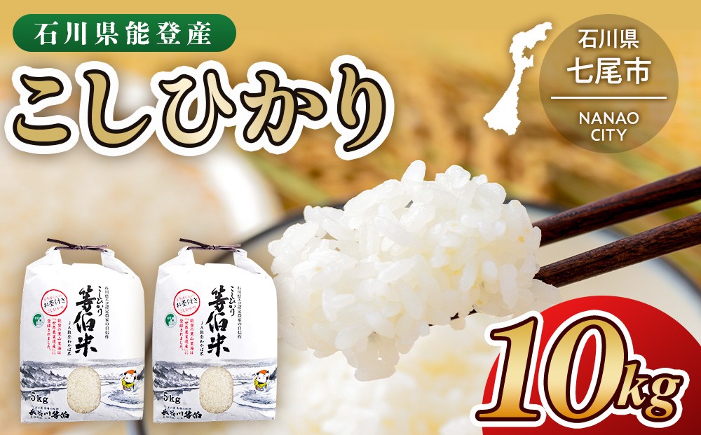 
                  令和8年産 等伯米こしひかり10kg(5kg×2袋) ｜ 世界農業遺産に認定された『能登の里山里海』で育まれたお米 石川県 七尾市 能登 ※2026年10月～発送
                
