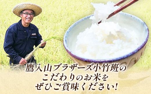 新米 令和8年産 小竹の風（コシヒカリ）5kg×1袋 【 お米 こしひかり 化学肥料不使用 島根県産 精米 白米 島根県 安来市 】【20-TB-23】