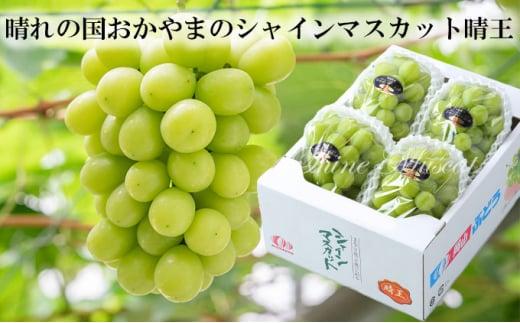 岡山県産 ぶどう 2025年発送 シャインマスカット 晴王 約2kg 3～6房 種無し ブドウ 葡萄 フルーツ 果物 ギフト