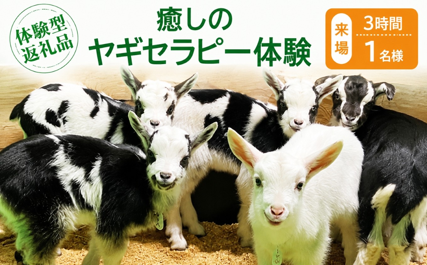 
                  【体験型返礼品】癒しのヤギセラピー体験（来場/3時間/1名）（愛知ヤギ農場）
                