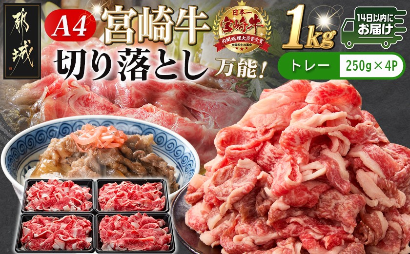 
                  宮崎牛切り落とし1kg≪みやこんじょ快速便≫_MJ-89-006-1000g-R_(都城市) 宮崎県産 宮崎牛 牛肉 A4ランク 切り落とし 切落し 250g × 4パック 小分け  1kg 牛丼 炒め物 便利 14日以内にお届け
                