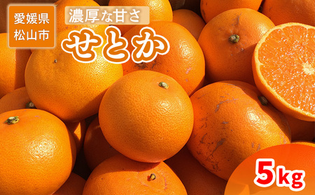 【2026年2月中旬から順次発送】 家庭用 せとか 5kg | 訳あり 蜜柑 高級 果物 甘い フルーツ みかん ミカン オレンジ 柑橘 食べて応援 特産品 愛媛 松山 【SU0092】