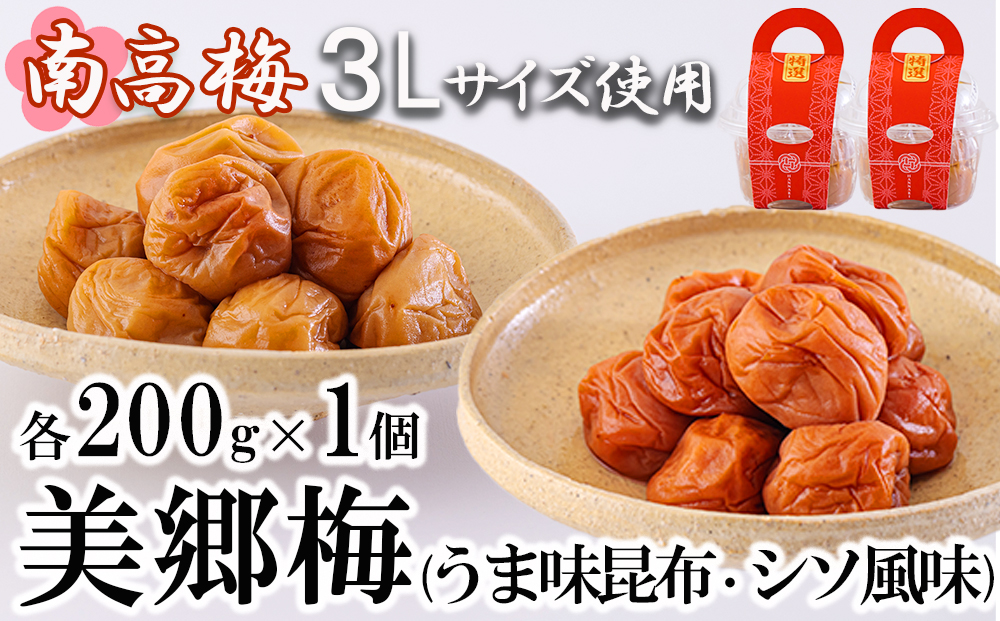 梅 南高梅 美郷梅使用 梅干し 昆布 シソ 風味 セット 3L サイズ 200g ×2 [農林産物直売所 美郷ノ蔵 宮崎県 美郷町 31ab0111] うめ ウメ 個包装 詰め合わせ