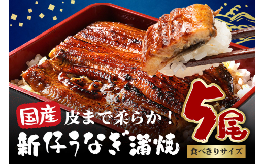 やわらか国内産 うなぎ蒲焼 食べ切りサイズ! 100～120g 5尾 計500g以上 ふっくら蒲焼き ブランド鰻使用 秘伝のタレ・山椒付き 湯煎で簡単調理 うな丼 ちらし寿司 贈答用 ギフト 冷蔵配送 茨城県 潮来市 (A23-011)