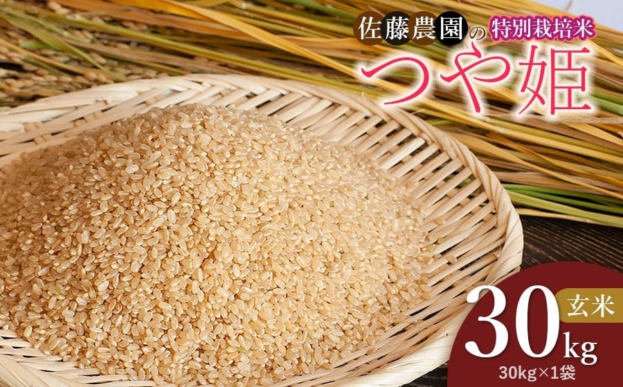 【令和8年産先行予約】特別栽培米つや姫 玄米 30kg(30kg×1袋)　山形県鶴岡市 佐藤農園