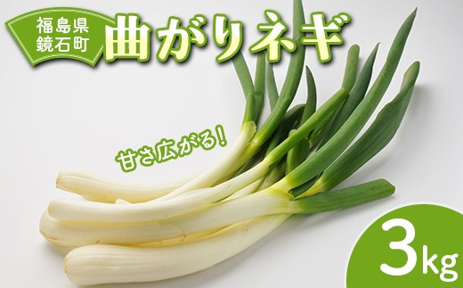 【先行予約】甘さ広がる 鏡石町産 曲がりネギ 3kg サイズ不揃い 家庭用 白ねぎ 葱 F6Q-480