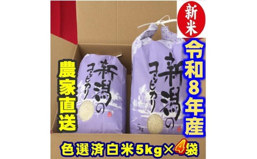 【令和8年産新米】 新潟県産 「従来こしひかり」 白米 20kg（5kg×4袋） 阿賀野市産 中島農場 精米 新潟県 米 こめ コメ お米 ごはん ご飯 農家直送 色彩選別済 新米 新米予約 令和8年産 9月下旬より順次発送  3R18060