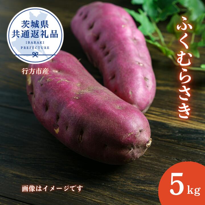 【ふるさと納税】さつまいも「ふくむらさき」約5kg（2025年産）（茨城県共通返礼品・行方市産） ／ さつまいも さつま芋 サツマイモ 薩摩芋 甘薯 ふくむらさき 紅芋 5kg 野菜 茨城県 送料無料