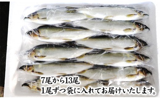 【延岡産】小分けで便利！冷凍子持ち鮎１kg N017-YZA173
