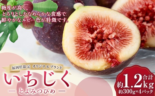 イチジク （とよみつひめ） 約300g×4パック （計約1.2kg） 【2026年9月下旬～10月下旬発送予定】 いちじく フルーツ 果物 くだもの 冷蔵 福岡県 うきは市