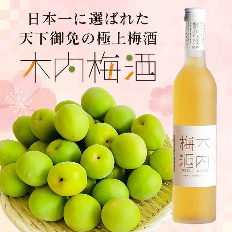 梅酒 木内梅酒 3本セット 500ml×3本 果実酒 ウメ 人気 お土産 ギフト フルーティー 内祝い ご褒美 国産 紀州南高梅使用 お歳暮 お歳暮ギフト プレゼント お中元 敬老の日 うめ酒 梅酒 