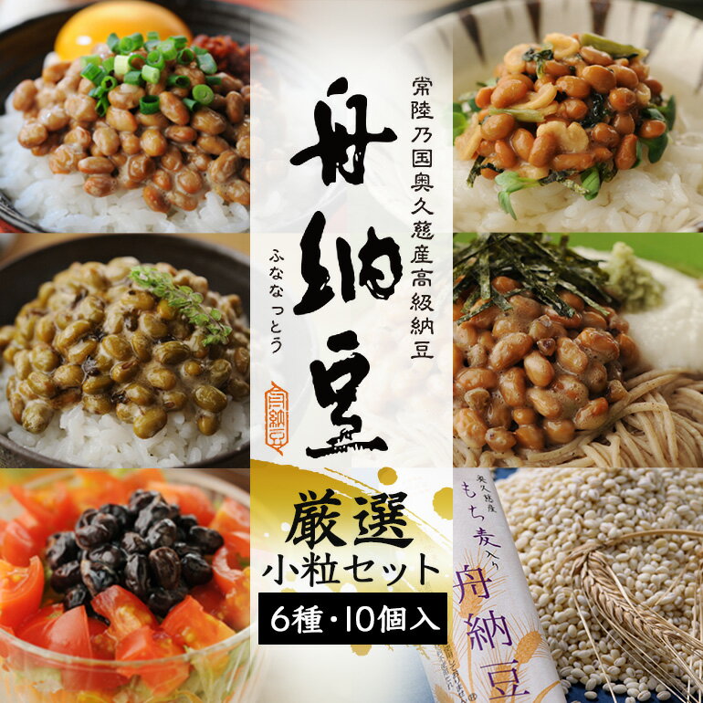 【ふるさと納税】舟納豆 厳選小粒セット 10個セット 食べ比べ 老舗 厳選素材 栄養 なっとう 高級 小粒 大豆 詰め合わせ 腸内環境 健康 冷蔵 冷蔵配送 ギフト お取り寄せ グルメ 朝食 ごはんのお供 おかず 小鉢 国産大豆 納豆 ナットウ 【丸真食品（株）】 【ho1229】