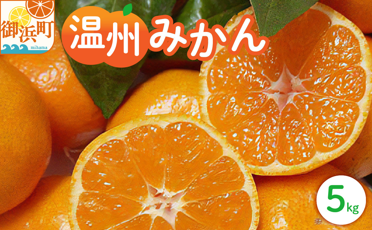 
            丸安青果の御浜温州みかん5キロ（家庭用) 【果物 フルーツ みかん 温州みかん 5kg 三重県 御浜町】
          