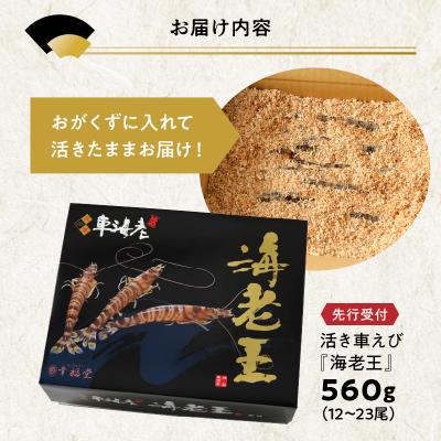 ふるさと納税 天草市 【指定日必須】【鮮度抜群】天草産・幸福堂の活き車えび『海老王』(560g)_S005-006 |  | 03