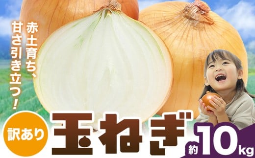 玉ねぎ 料理に使いやすい！産地直送訳あり 玉ねぎ 約10kg 株式会社シグマサポート《2026年4月下旬-6月上旬頃出荷》三重県 東員町 玉ねぎ 玉葱 タマネギ たまねぎ 野菜 甘い 送料無料