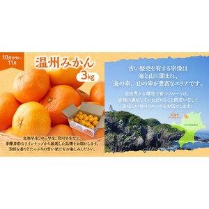 【定期便/年5回】JAむなかた厳選！人気フルーツ定期便【JAむなかた ほたるの里】_HB0164